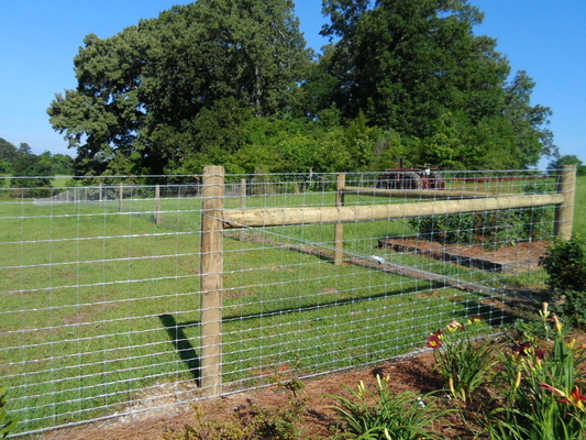 heavy duty fixed knot woven wire field game fence/ Galvanized Sheep Farm Fence Factory Price/ 2.2mm 2.5mm 2.7mm wire far