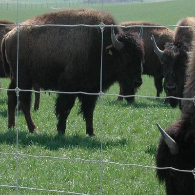 heavy duty fixed knot woven wire field game fence/ Galvanized Sheep Farm Fence Factory Price/ 2.2mm 2.5mm 2.7mm wire far